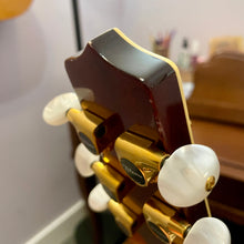Load image into Gallery viewer, 2009 Takamine LTD