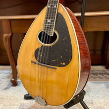 Load image into Gallery viewer, 1910-1927 Weymann Mandolute