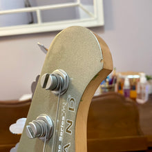 Load image into Gallery viewer, 2010 Lakland Skyline Series - Joe Osborn Model