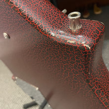 Load image into Gallery viewer, Jerry Jones Master Electric Sitar