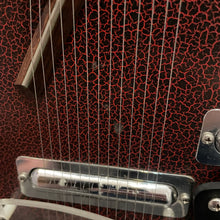 Load image into Gallery viewer, Jerry Jones Master Electric Sitar