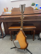 Load image into Gallery viewer, 1960's Danelectro Belzouki 12 String