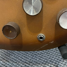 Load image into Gallery viewer, 1960's Danelectro Belzouki 12 String
