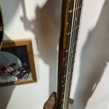 Load image into Gallery viewer, 1960's Danelectro Belzouki 12 String