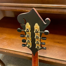 Load image into Gallery viewer, Used Michael Kelly Legacy Dragonfly F Style Mandolin