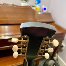 Load image into Gallery viewer, 1960's Harmony Monterey H950 Archtop