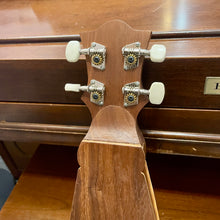Load image into Gallery viewer, 2008 Robbins Handmade Dulcimer
