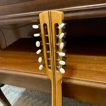 Load image into Gallery viewer, Vintage Mandriola