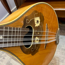 Load image into Gallery viewer, Vintage Mandriola