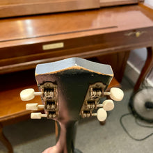 Load image into Gallery viewer, 1960's Alden (Harmony) H45