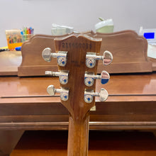 Load image into Gallery viewer, 2021 Gibson Les Paul Standard Double Trouble