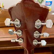Load image into Gallery viewer, 1973 Guild D-35 "Bluegrass" Acoustic
