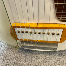 Load image into Gallery viewer, 1940's Eddie Alkire 10 string EHarp