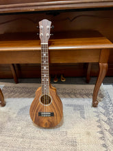 Load image into Gallery viewer, Bruce Wei BW-UN15