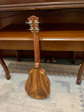 Load image into Gallery viewer, Bruce Wei BW-UN15