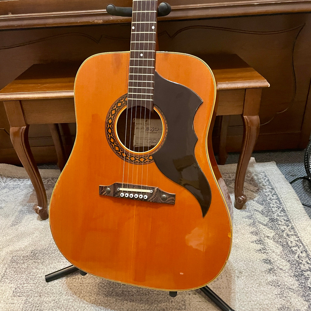 1970's EKO Ranger 6 VR  Set Up Highstrung