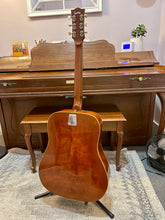 Load image into Gallery viewer, 1970&#39;s EKO Ranger 6 VR  Set Up Highstrung
