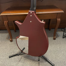 Load image into Gallery viewer, Jerry Jones Master Electric Sitar
