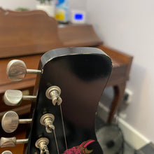 Load image into Gallery viewer, Jerry Jones Master Electric Sitar
