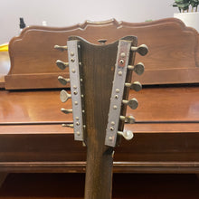 Load image into Gallery viewer, 1960's Danelectro Belzouki 12 String
