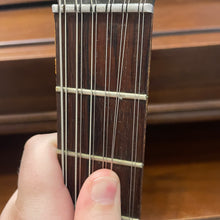 Load image into Gallery viewer, 1960's Danelectro Belzouki 12 String
