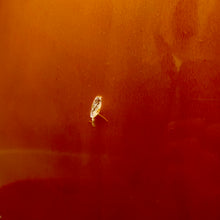 Load image into Gallery viewer, Used Ibanez Artstar AS50 Semi-hollow
