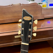 Load image into Gallery viewer, 1958 Supro Dual Tone
