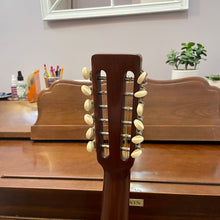 Load image into Gallery viewer, 1970 Martin D-12-20 12 string
