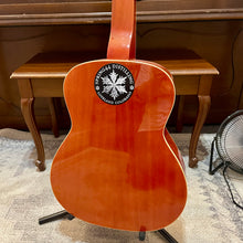 Load image into Gallery viewer, 2008 Fender FR-50 Dobro
