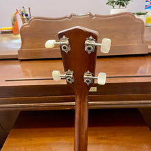 Load image into Gallery viewer, 1930s Kalamazoo KTG-14 Tenor Sunburst
