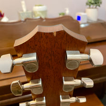Load image into Gallery viewer, 2019 Taylor 317e Grand Pacific VClass Bracing

