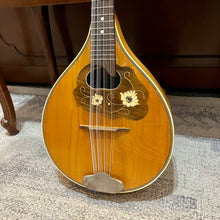 Load image into Gallery viewer, Vintage Mandriola
