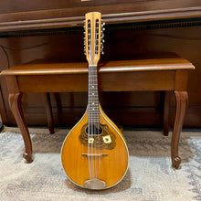 Load image into Gallery viewer, Vintage Mandriola

