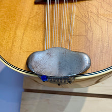 Load image into Gallery viewer, Vintage Mandriola
