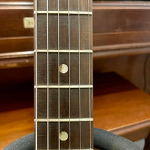 Load image into Gallery viewer, 1960's Alden (Harmony) H45
