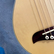 Load image into Gallery viewer, Used Washburn RO-10 Rover Travel Guitar
