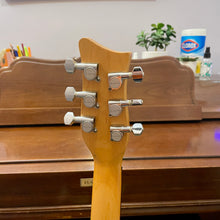 Load image into Gallery viewer, Used Danelectro Hodad w/Bigsby
