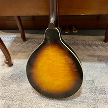 Load image into Gallery viewer, 1955 Gibson A-50 Mandolin
