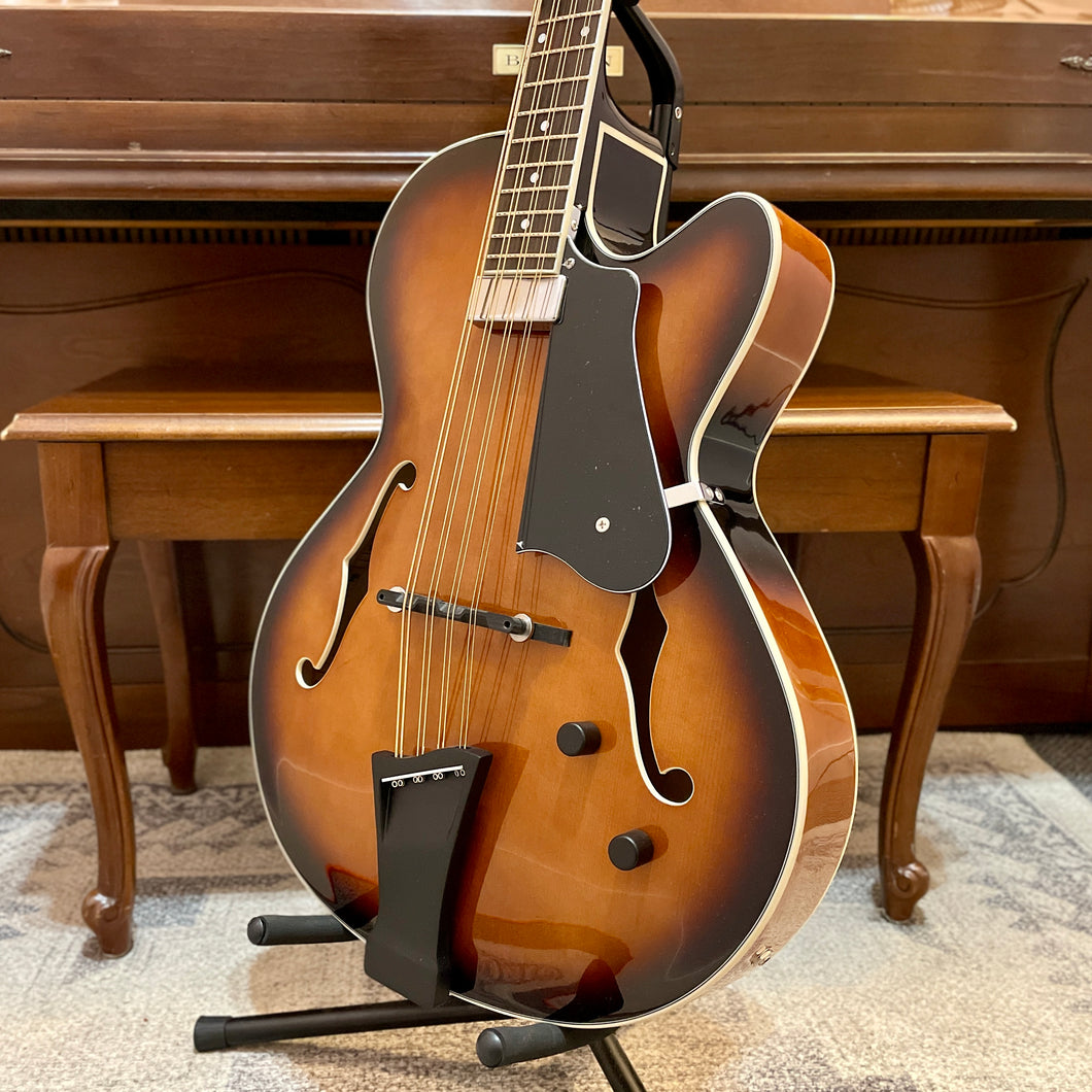 New! Gold Tone Mandocello with Pickup