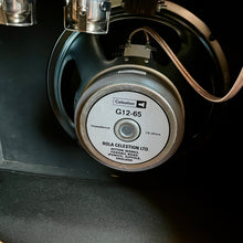Load image into Gallery viewer, Like New! Amplified Nation Phoenix Fury 50w Combo Golden Brown Suede
